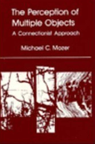 Couverture : The perception of multiple objects