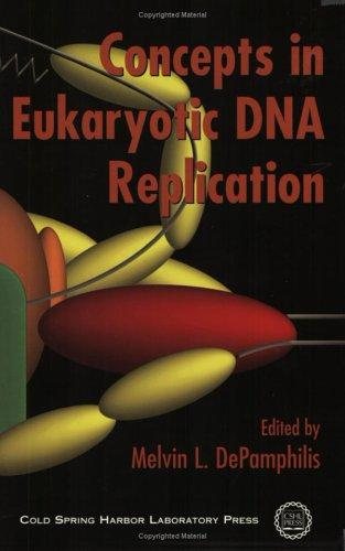 Couverture : Concepts in eukaryotic DNA replication