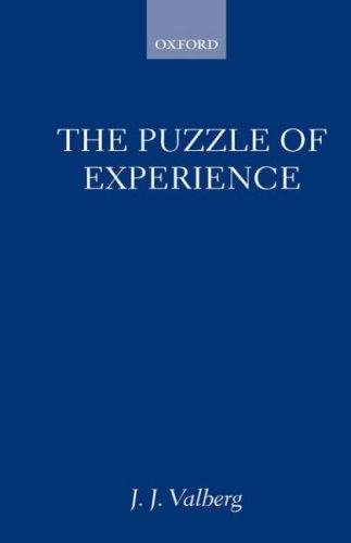 Couverture : The puzzle of experience
