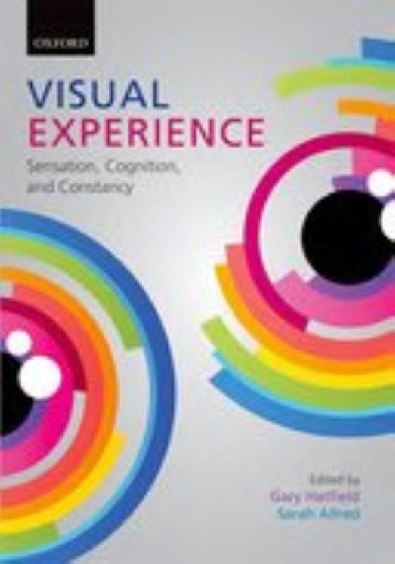 Couverture : Visual Experience