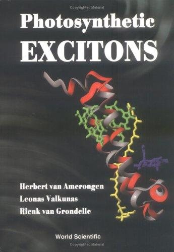 Couverture : Photosynthetic Excitons