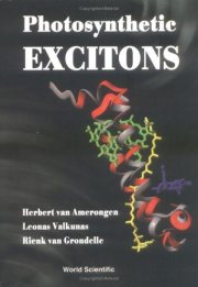 Couverture : Photosynthetic Excitons