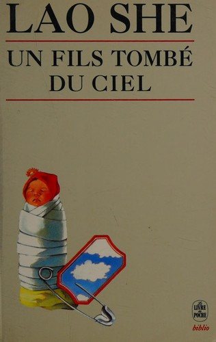 Couverture : Un Fils Tombe Du Ciel