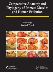 Couverture : Comparative Anatomy and Phylogeny of Primate Muscles and Human Evolution