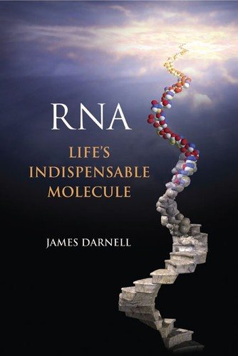 Couverture : RNA