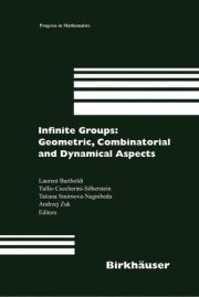 Couverture : Infinite Groups: Geometric, Combinatorial and Dynamical Aspects