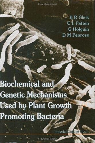 Couverture : Biochemical and genetic mechanisms used by plant growth-promoting bacteria