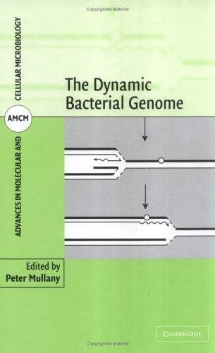 Couverture : The dynamic bacterial genome