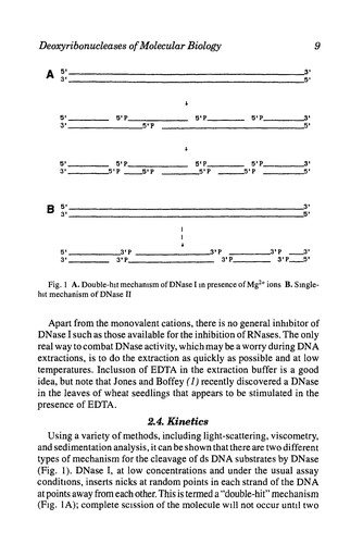 Couverture : Enzymes of molecular biology
