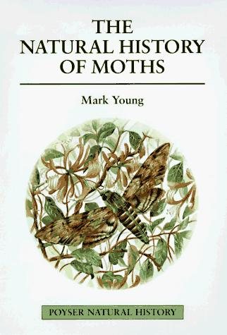 Couverture : The Natural History of Moths (Poyser Natural History Series)