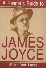 Couverture : A reader's guide to James Joyce