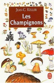 Couverture : Les champignons