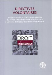 Couverture : Directives Volontaires a l'Appui de la Concretisation Progressive du Droit a une Alimentation