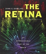 Couverture : The Retina