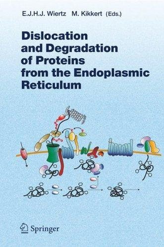 Couverture : Dislocation and Degradation of Proteins from the Endoplasmic Reticulum (Current Topics in Microbiology and Immunology)