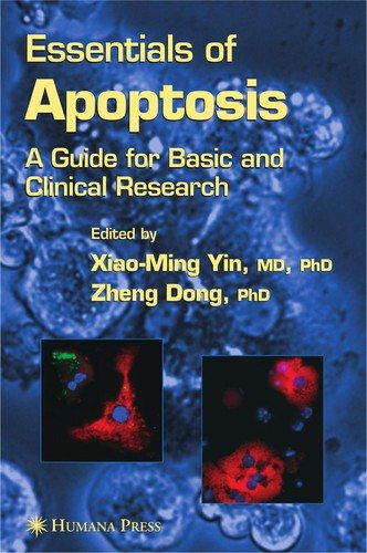Couverture : Essentials of apoptosis