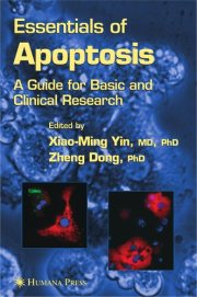 Couverture : Essentials of apoptosis
