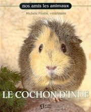 Couverture : Le Cochon d'inde