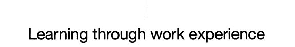 Couverture : Learning through work experience for the knowledge economy